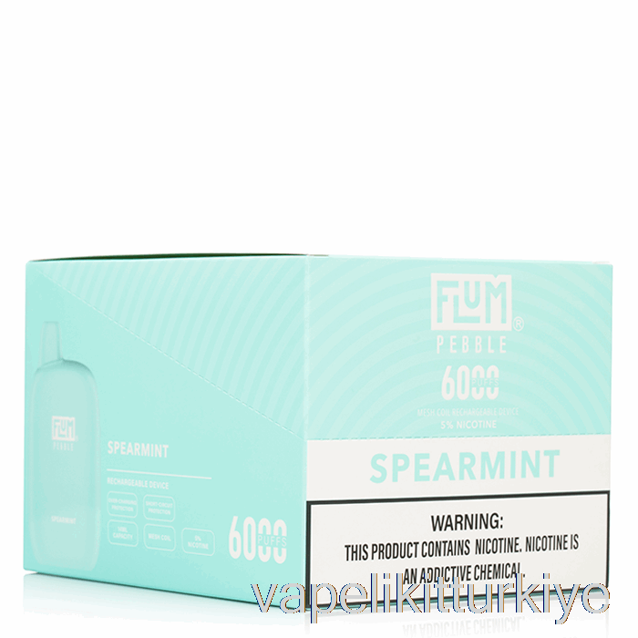 Vape Türkiye [10'lu Paket] Flum Pebble 6000 Tek Kullanımlık